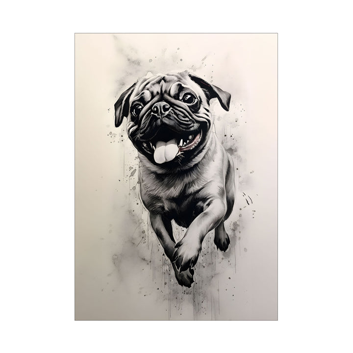 Pug's Playful Sprint