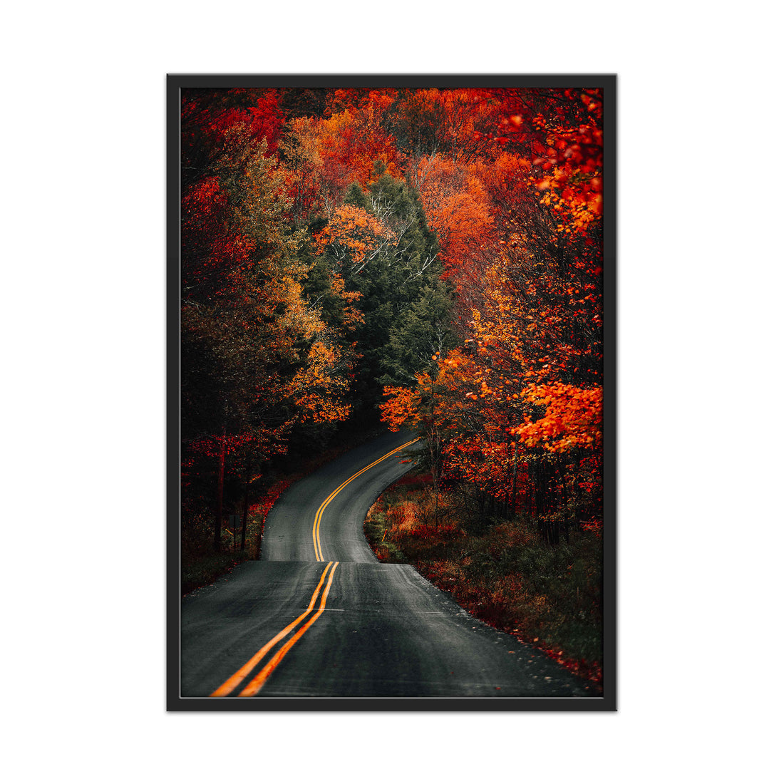 Autumn's Embrace