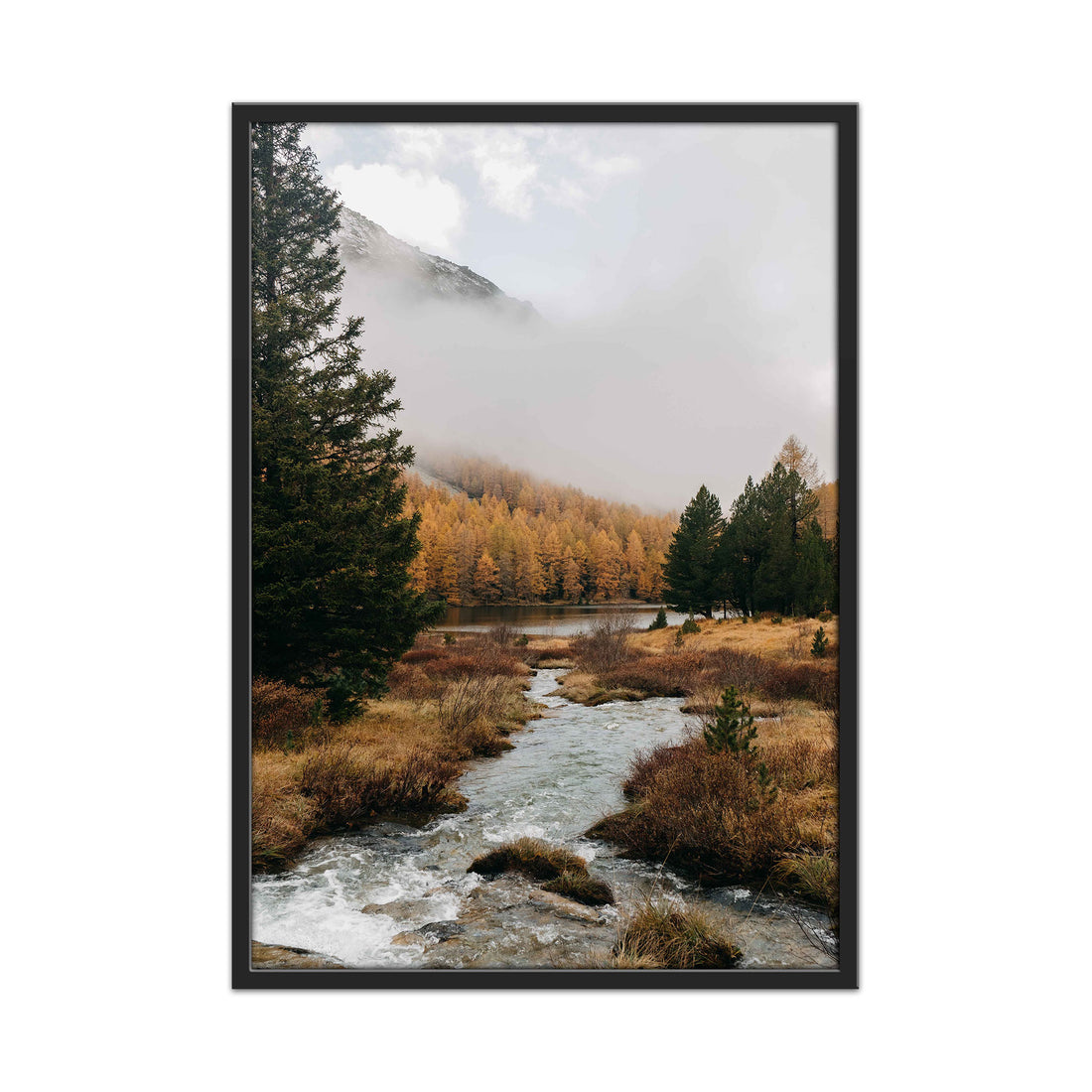 River Through Enchanted Woods