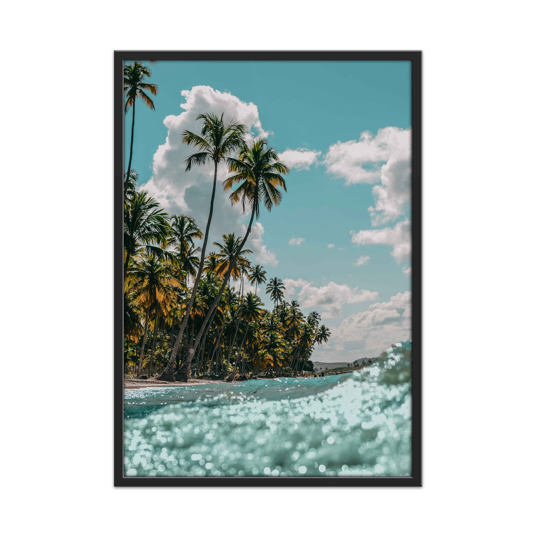Palm-Fringed Shores and Waves