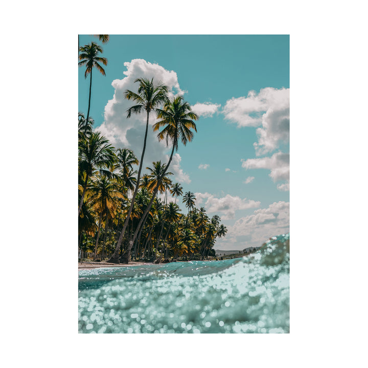 Palm-Fringed Shores and Waves