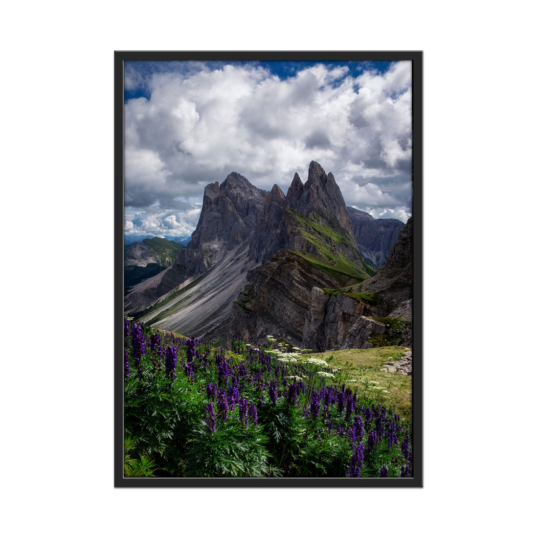 Floral Peaks in Dolomites