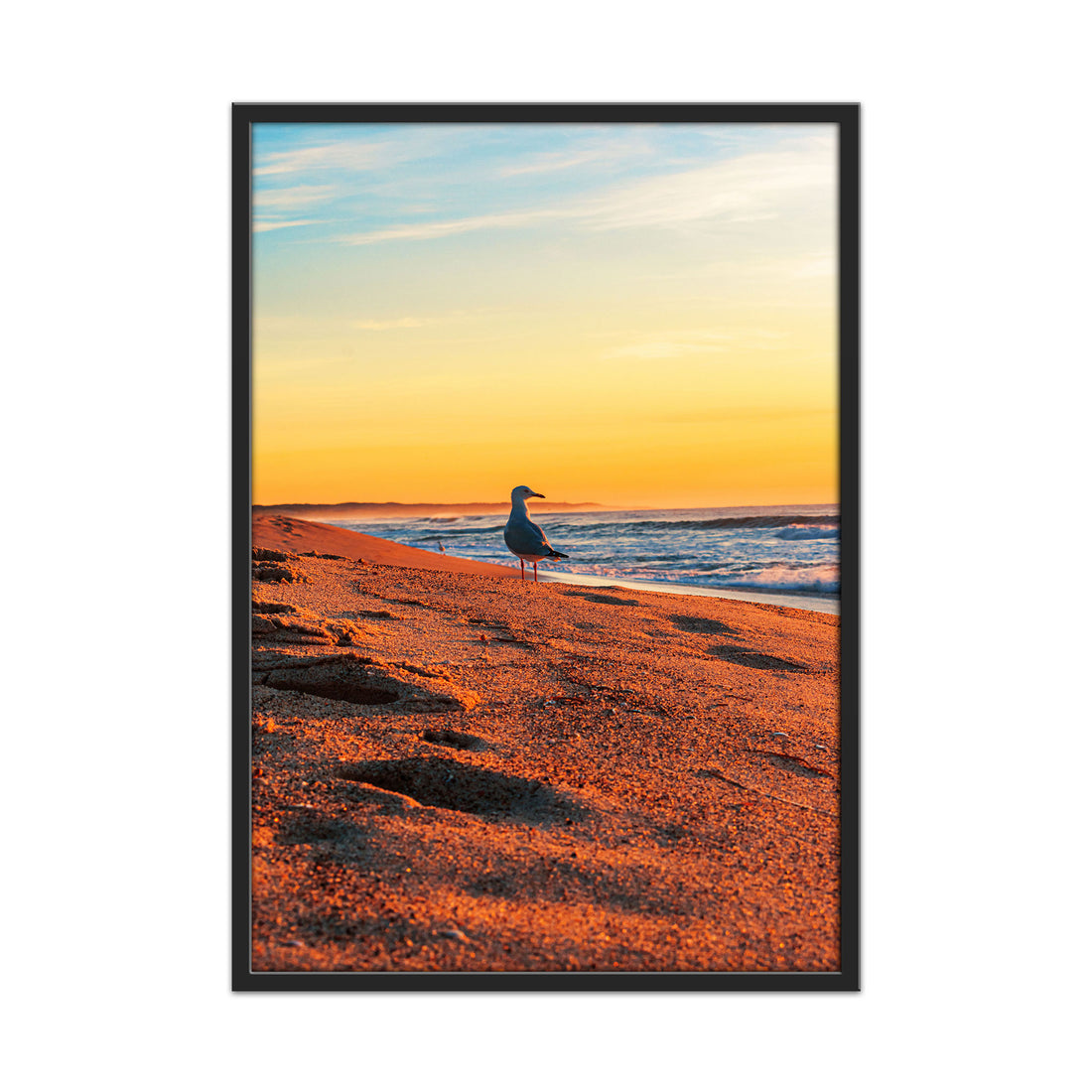 Seagull’s Sunset by the River