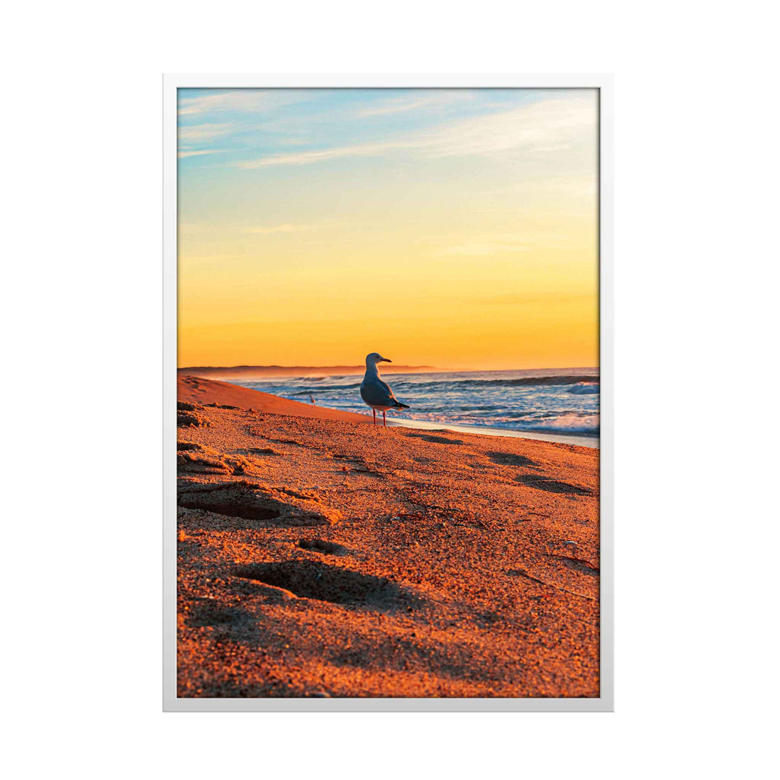 Seagull’s Sunset by the River