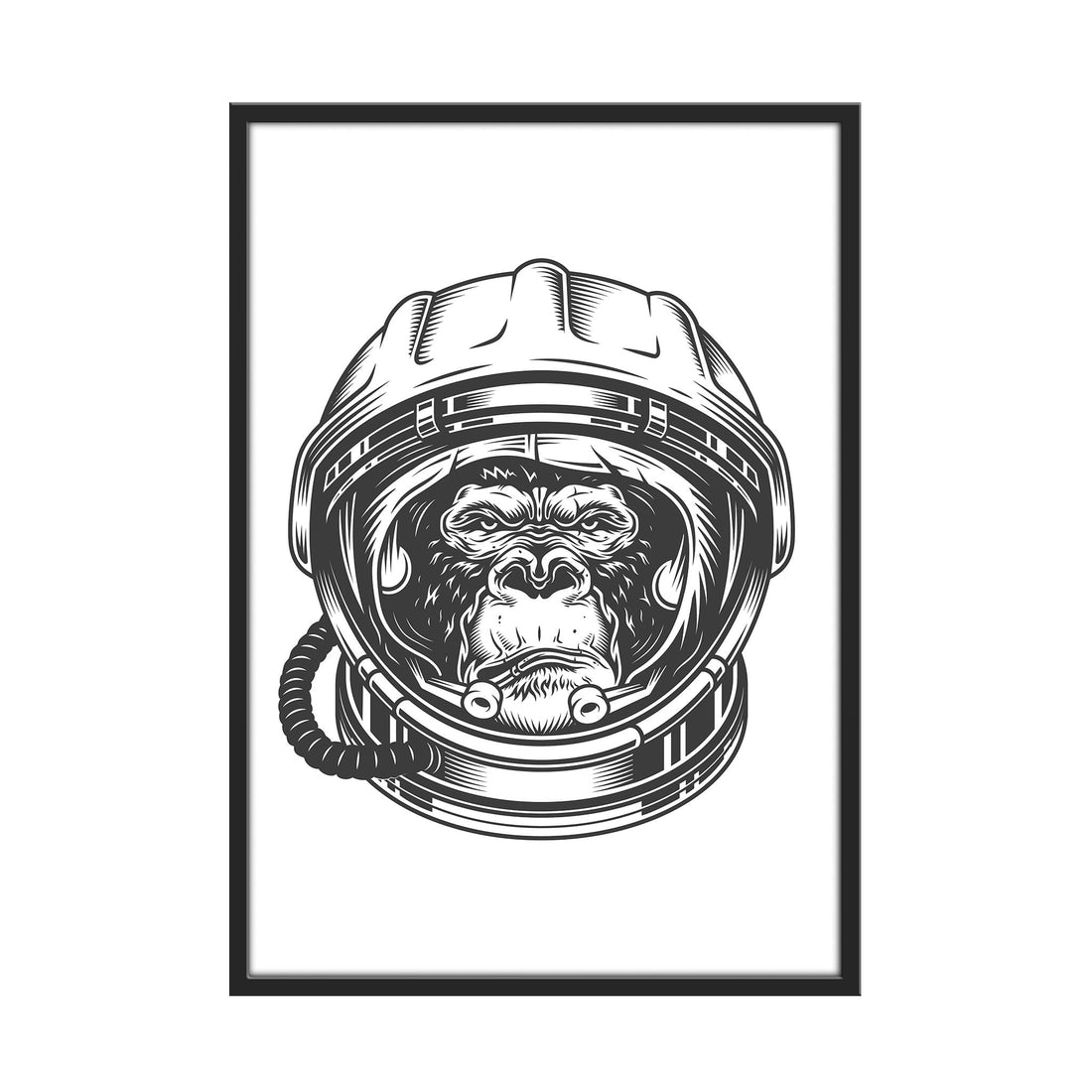 Ape Galactic Explorer