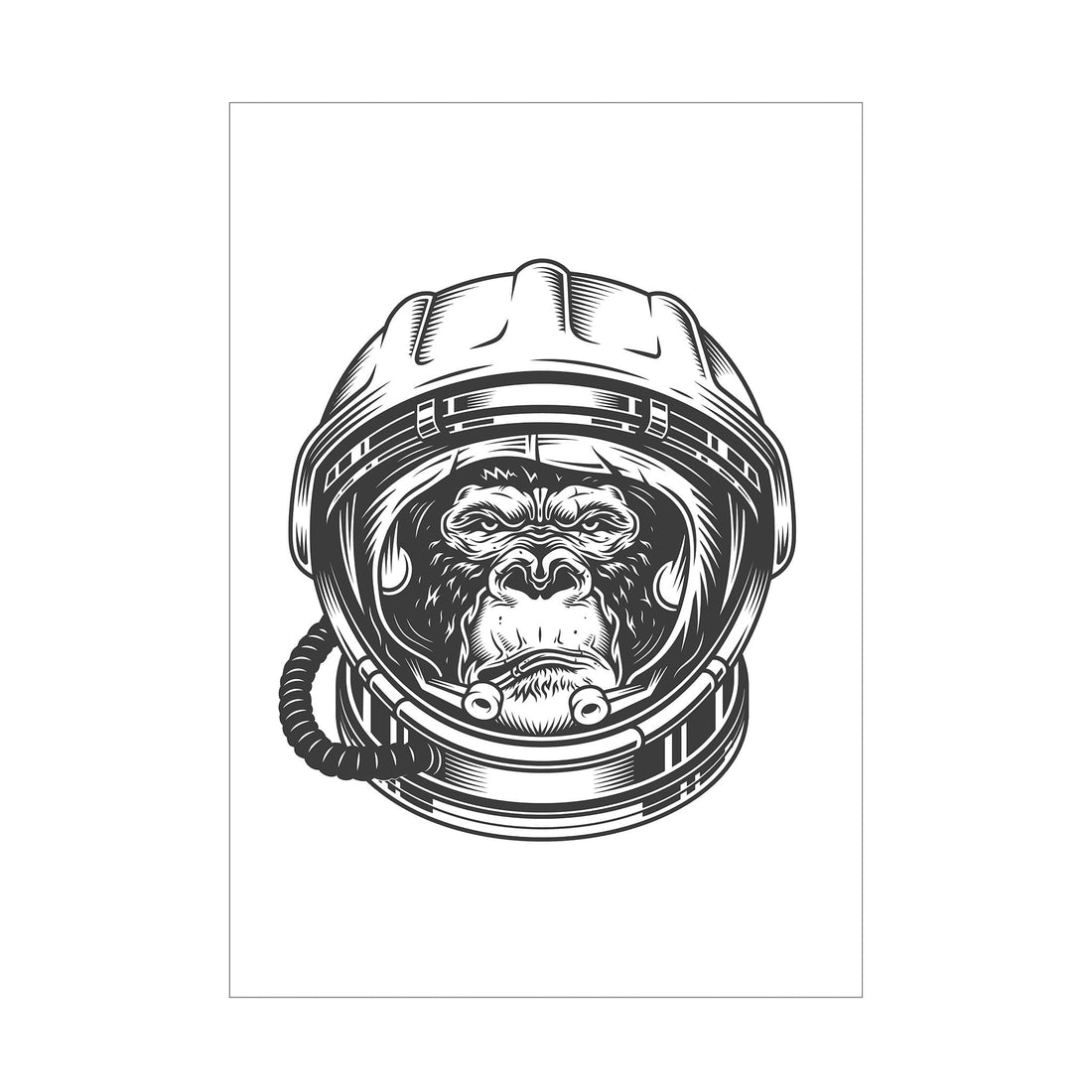 Ape Galactic Explorer