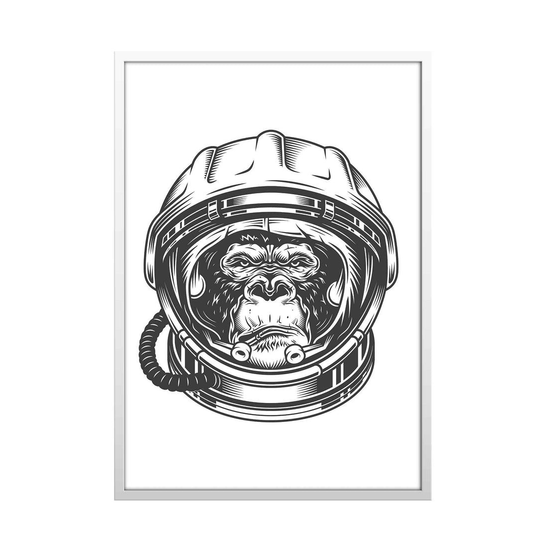 Ape Galactic Explorer